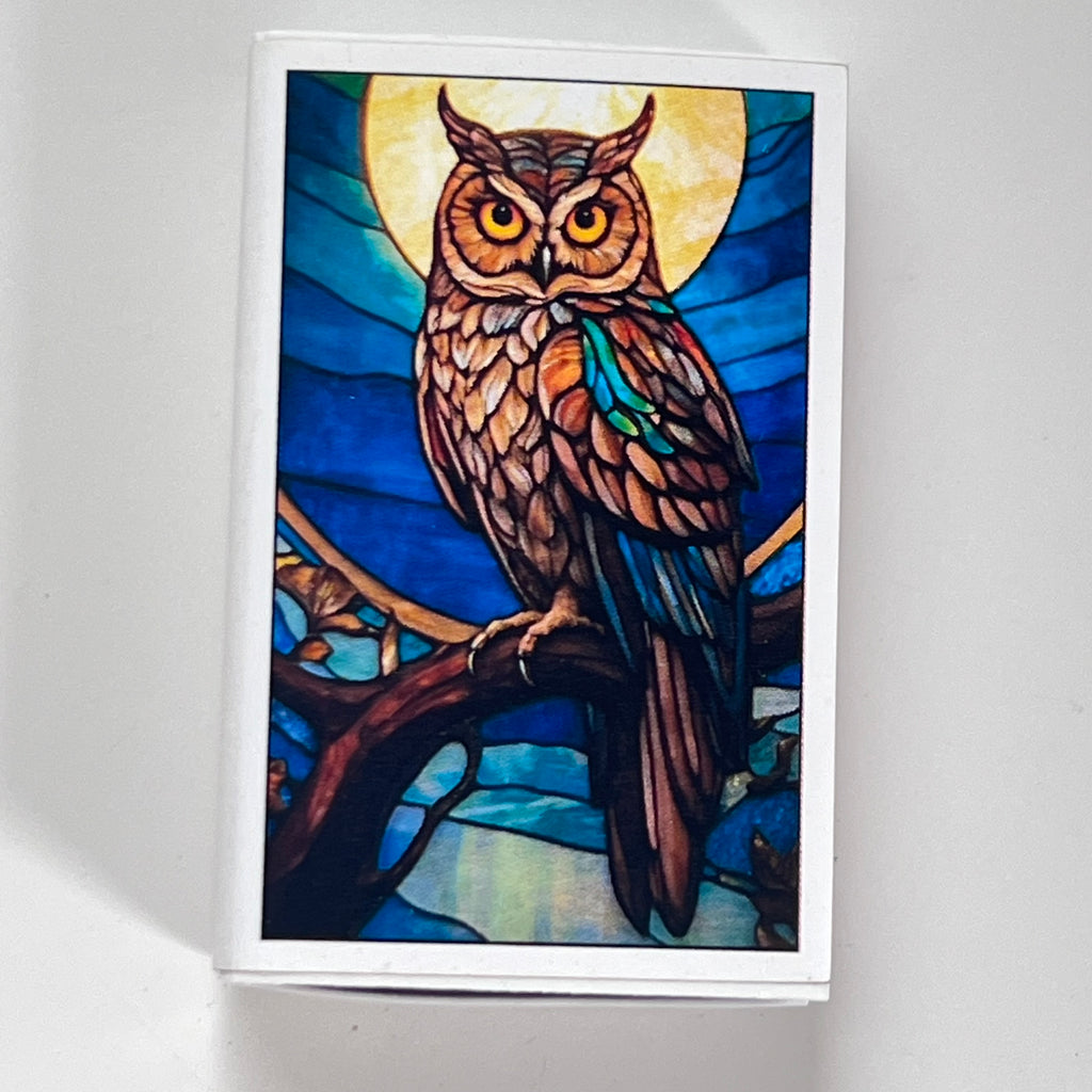 Owl Match Box