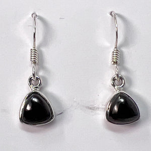 Earrings - Shungite