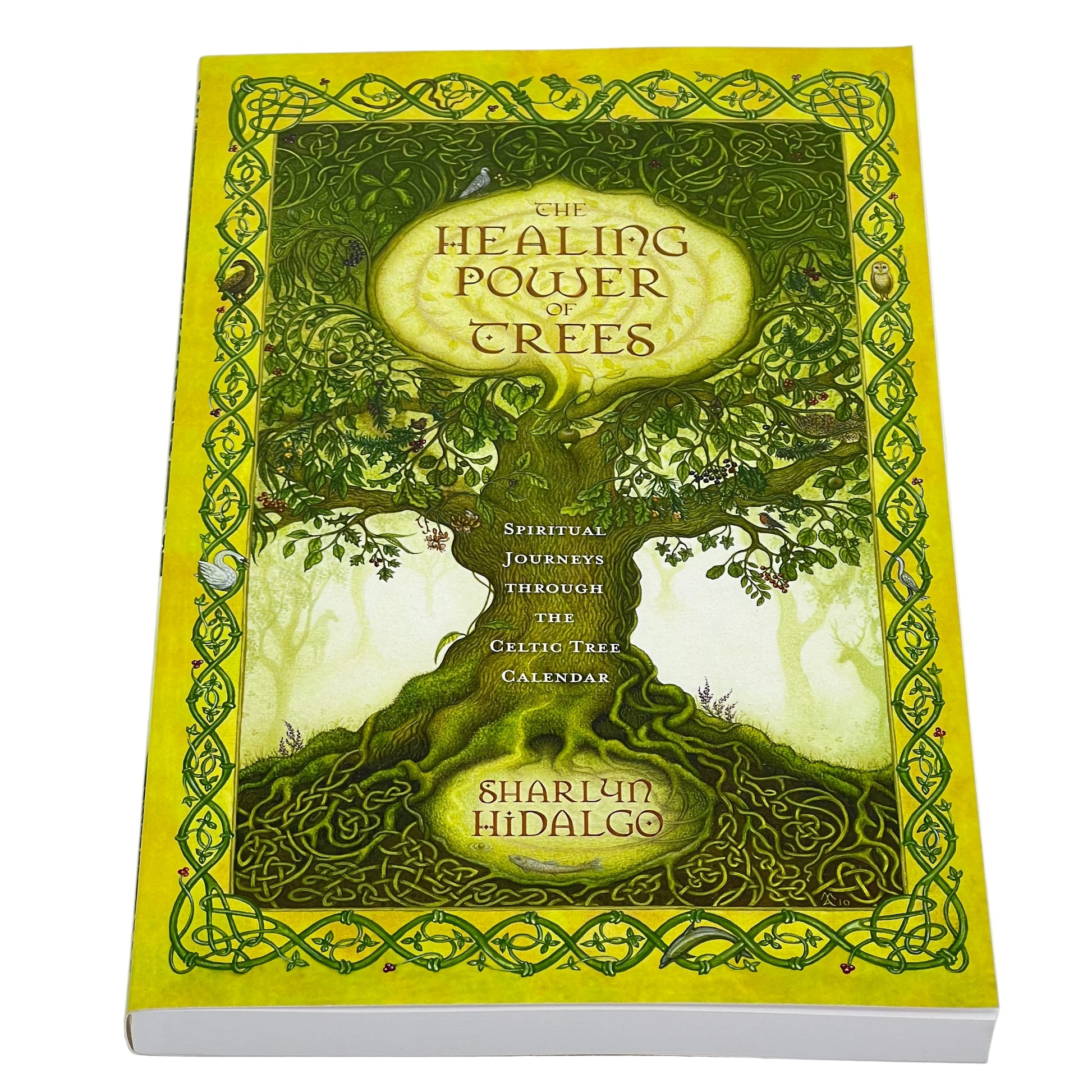 The Healing Power of Trees by Sharlyn Hidalgo