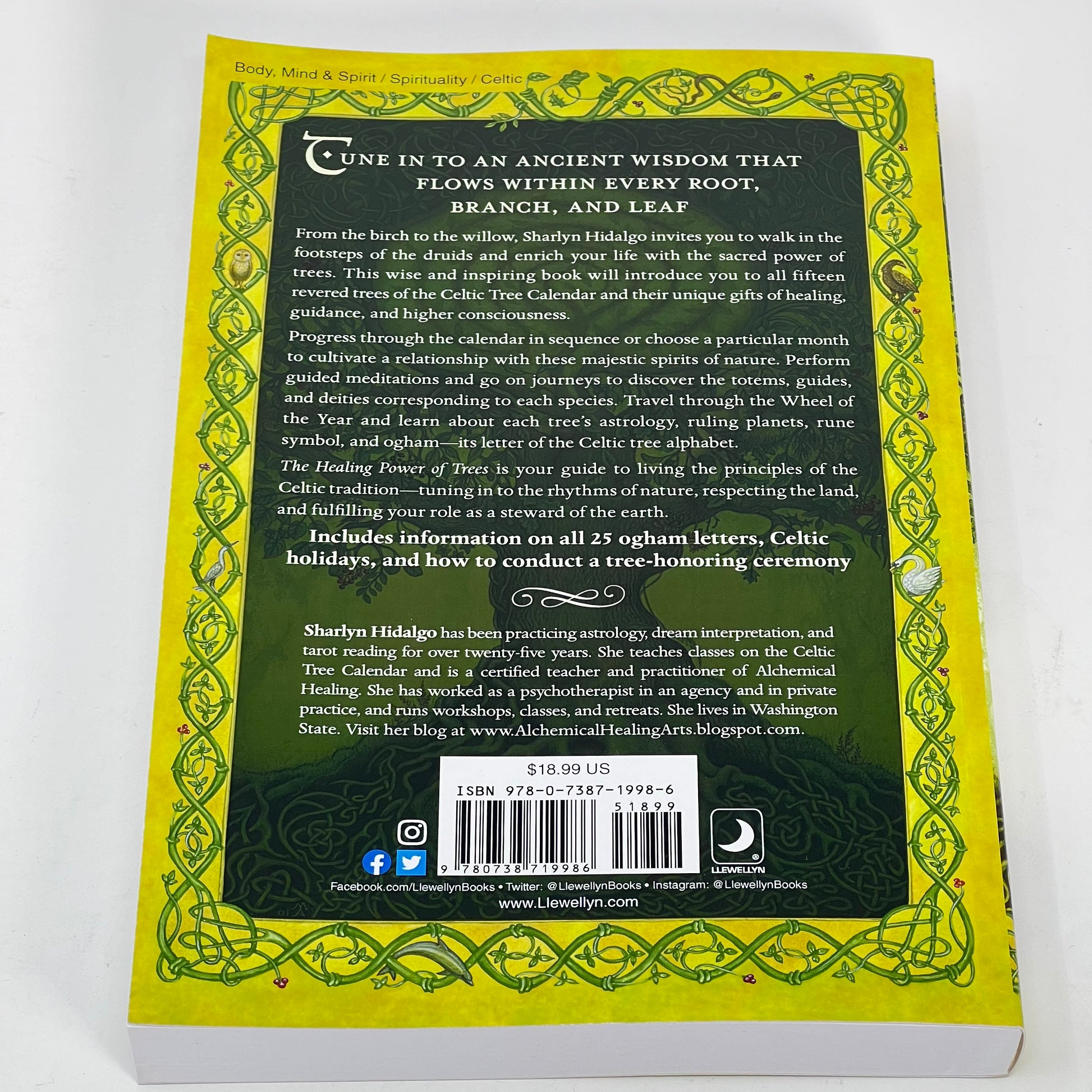 The Healing Power of Trees by Sharlyn Hidalgo