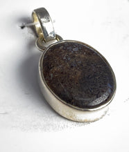 Load image into Gallery viewer, Pendant - Dinosaur Bone
