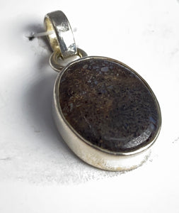 Pendant - Dinosaur Bone
