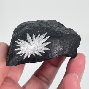 Chrysanthemum Stone Pieces