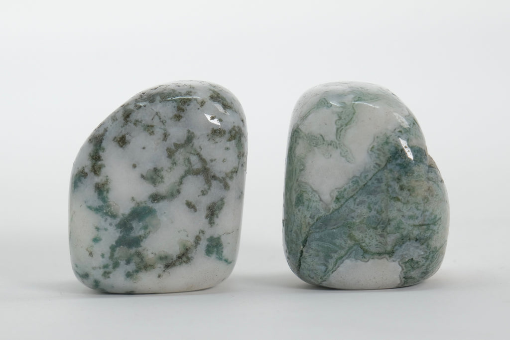 Tree Agate - Tumbled