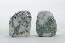 Load image into Gallery viewer, Tree Agate - Tumbled
