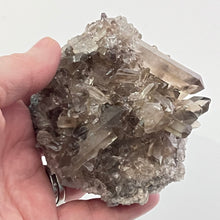 Load image into Gallery viewer, Smoky Quartz Cluster - Medium
