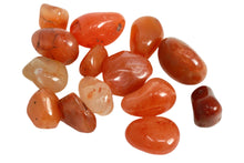 Load image into Gallery viewer, Carnelian - Tumbled
