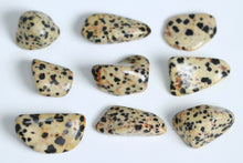 Load image into Gallery viewer, Dalmatian Jasper - Tumbled
