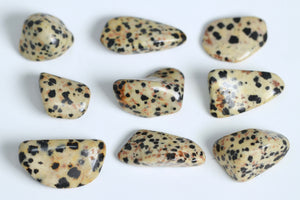 Dalmatian Jasper - Tumbled