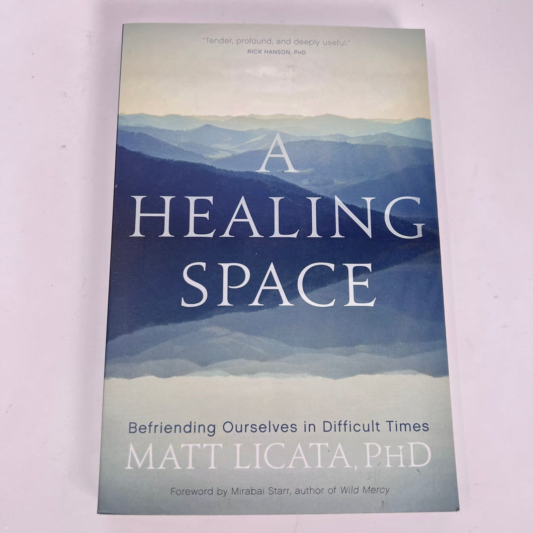 A Healing Space by Matt Licata