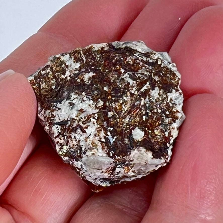 Astrophyllite - Rough (Price Options)