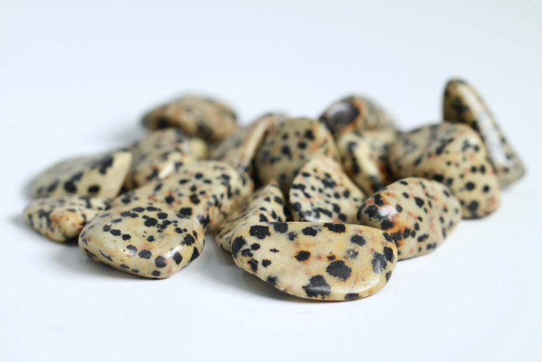 Dalmatian Jasper - Tumbled