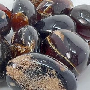 Amber (Zebra) - Tumbled