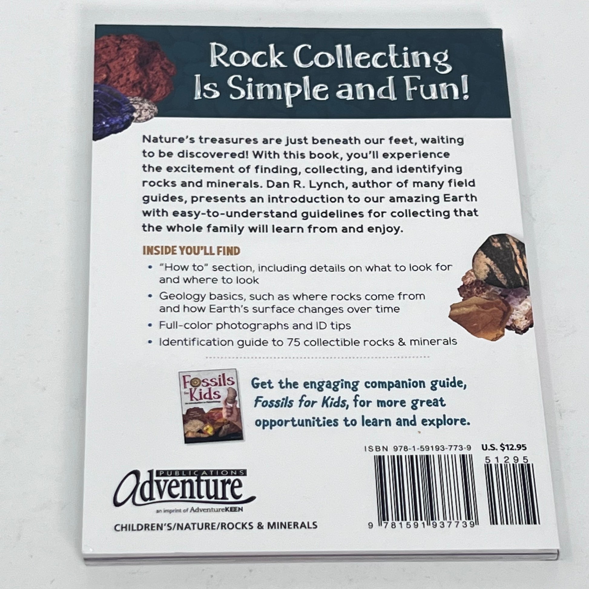 Rock Collecting for Kids - An Introduction to Geology