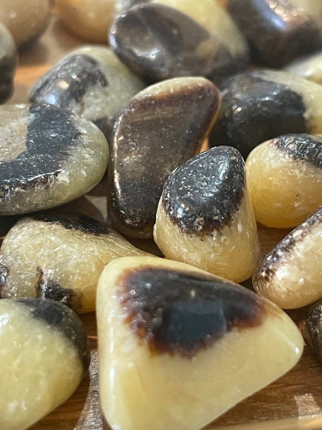 Septarian-Tumbled