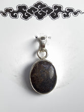 Load image into Gallery viewer, Pendant - Dinosaur Bone
