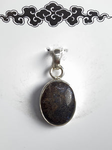 Pendant - Dinosaur Bone