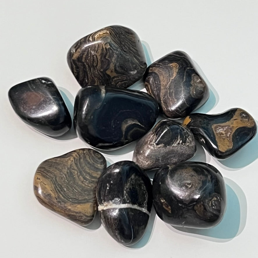 Stromatolite - Tumbled