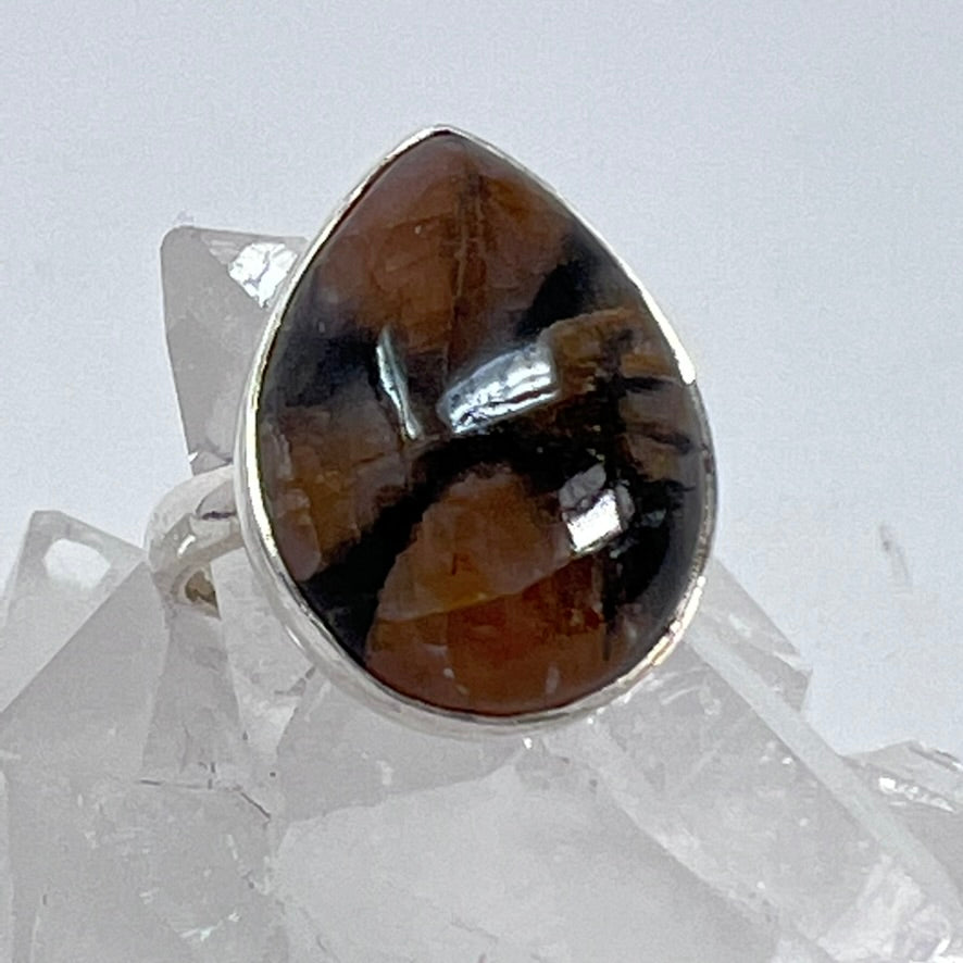 Ring - Chiastolite - Size 7