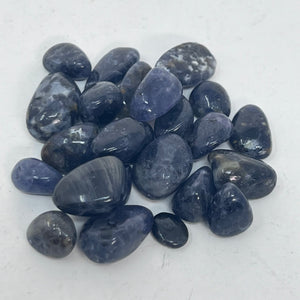 Iolite - Tumbled (2 sizes)