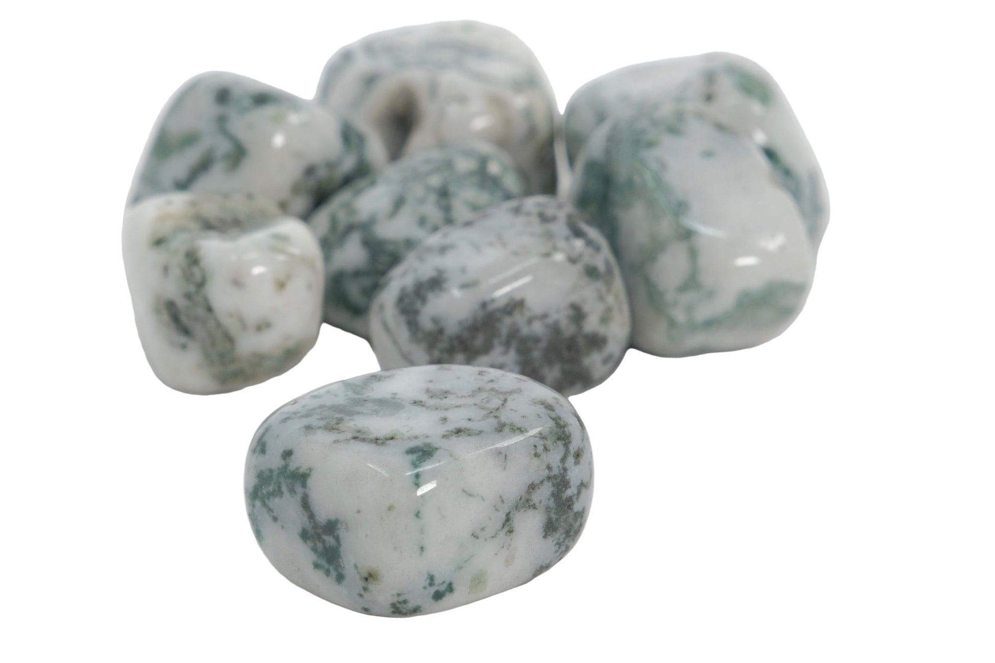 Tree Agate - Tumbled