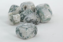 Load image into Gallery viewer, Tree Agate - Tumbled
