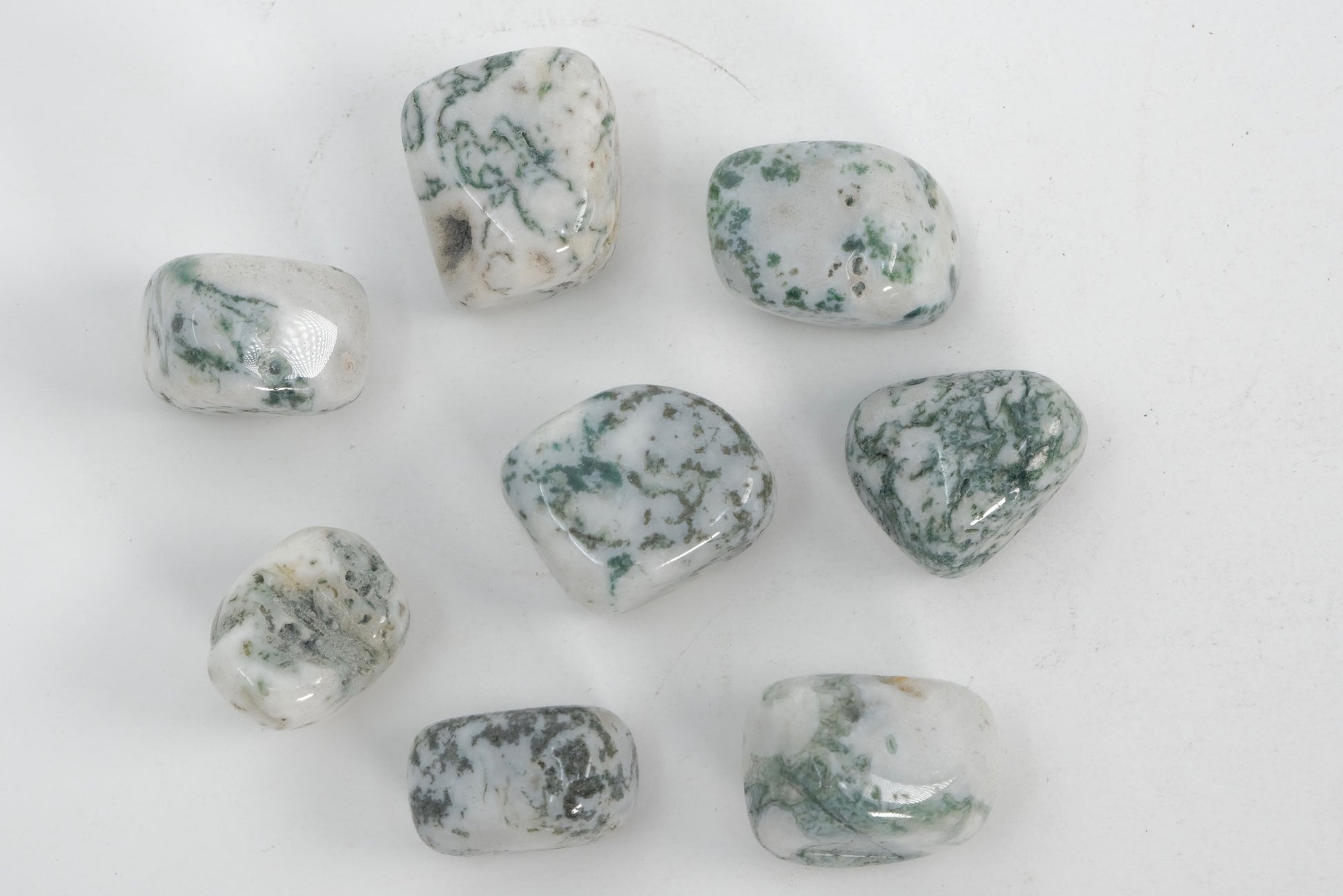 Tree Agate - Tumbled