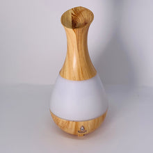 Load image into Gallery viewer, Aromatherapy Diffuser - Vase
