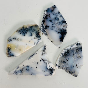 Dendritic Agate - Flat Polished (2 sizes)