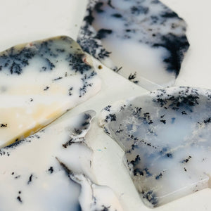 Dendritic Agate - Flat Polished (2 sizes)
