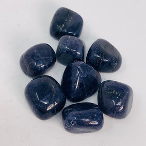 Iolite - Tumbled (2 sizes)