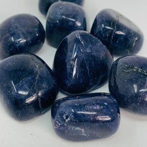 Iolite - Tumbled (2 sizes)