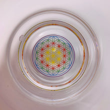 Load image into Gallery viewer, Nature&#39;s Design JASMINA Drinking Glass
