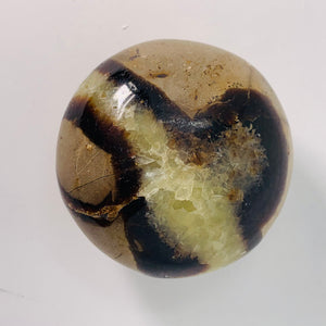 Septarian Large Tumbled/Small Palm Stone