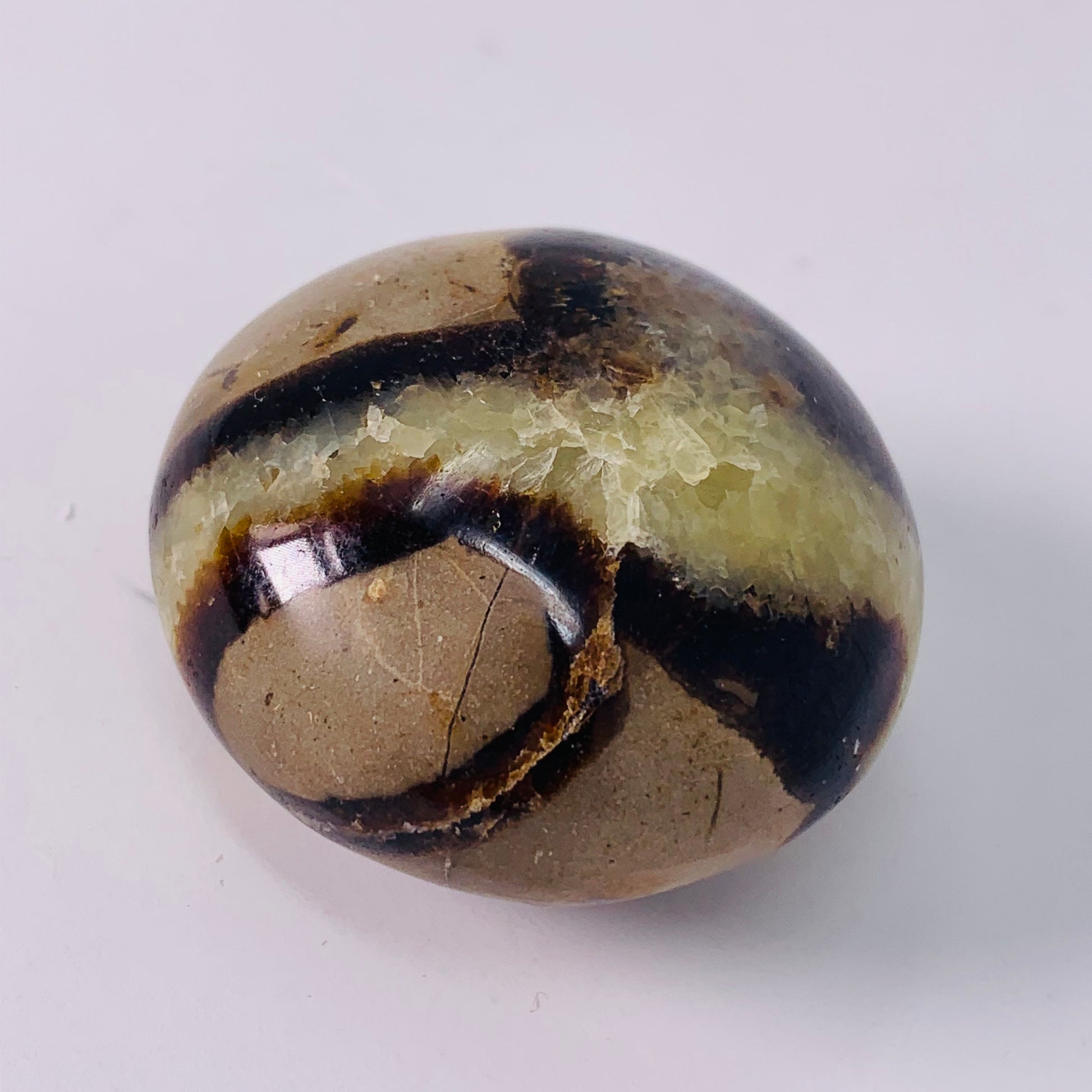 Septarian Large Tumbled/Small Palm Stone