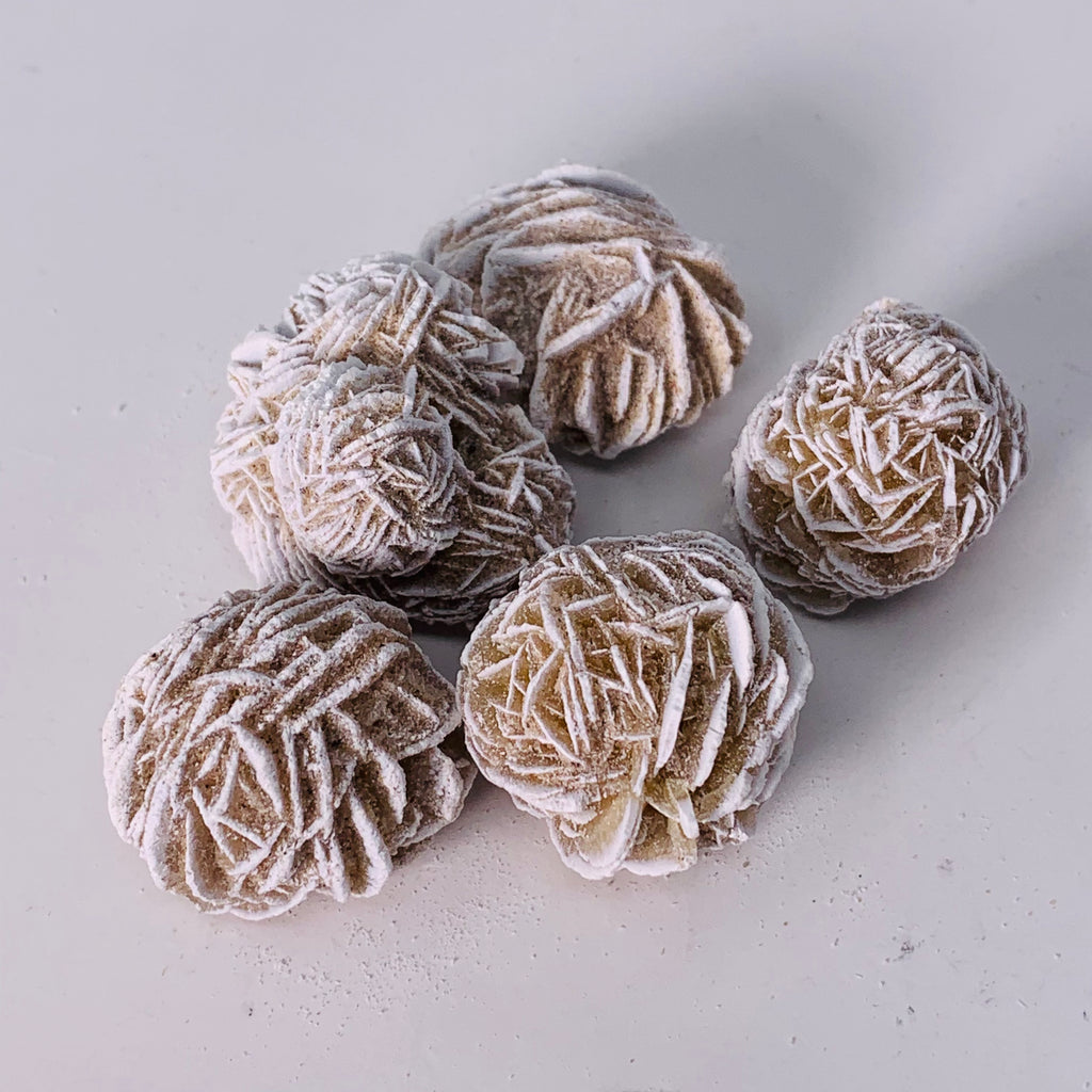 Desert Rose (Regular)