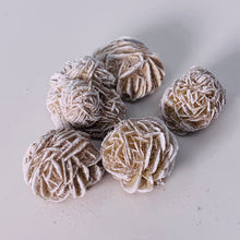 Load image into Gallery viewer, Desert Rose (Regular)
