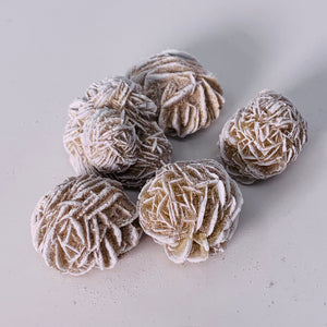 Desert Rose (Regular)
