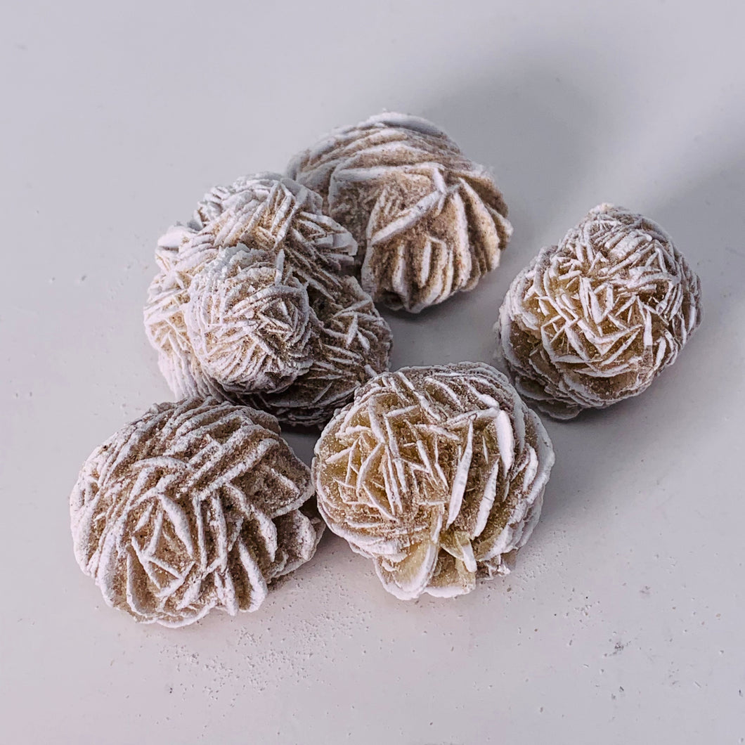 Desert Rose (Regular)