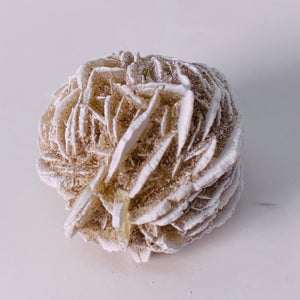 Desert Rose (Regular)
