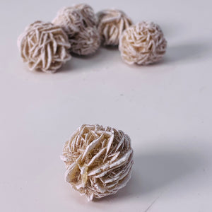 Desert Rose (Regular)
