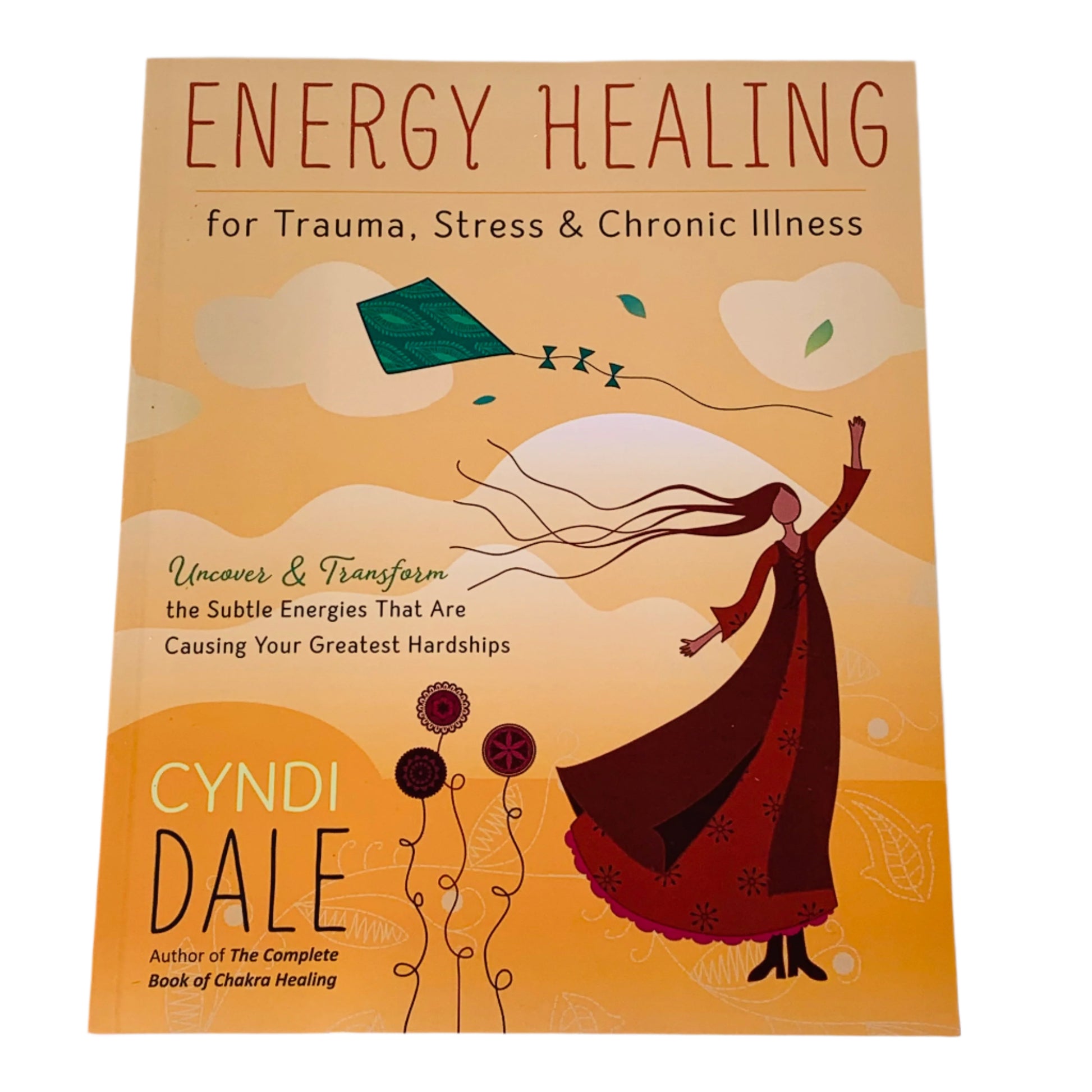 Energy Healing for Trauma, Stress & Chronic Illness by Cyndi Dale