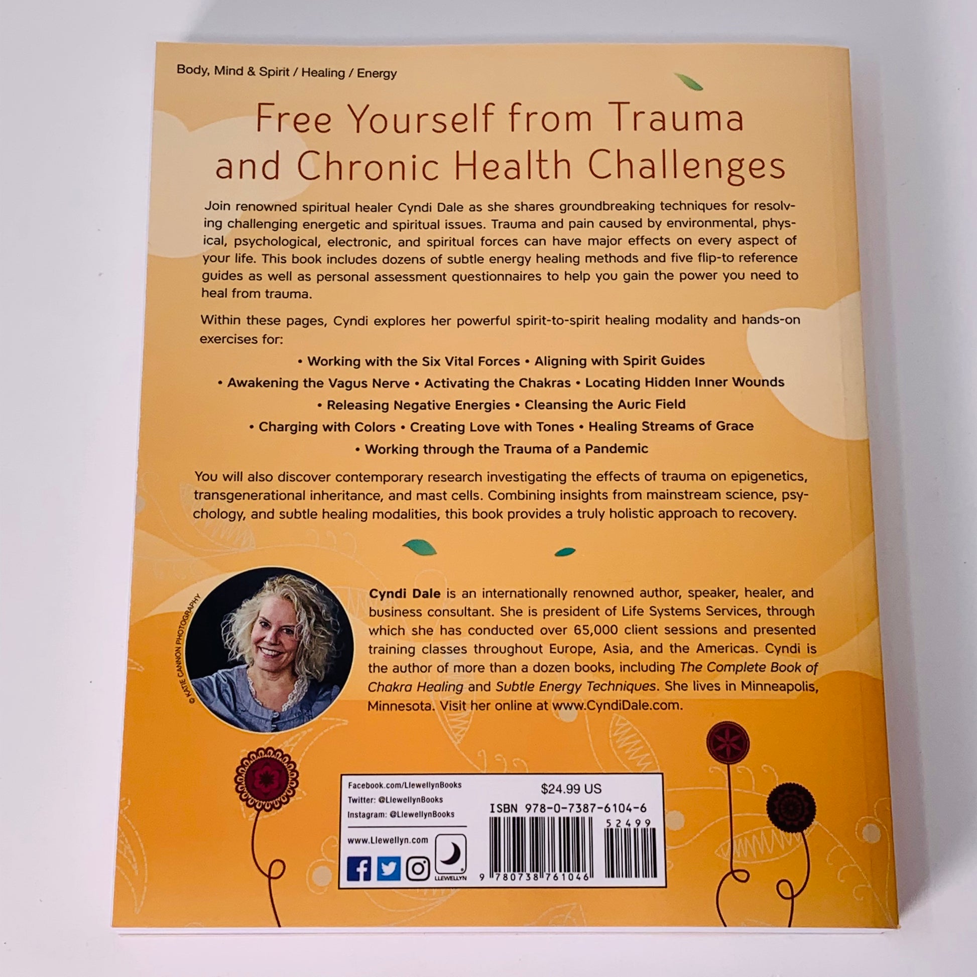 Energy Healing for Trauma, Stress & Chronic Illness by Cyndi Dale