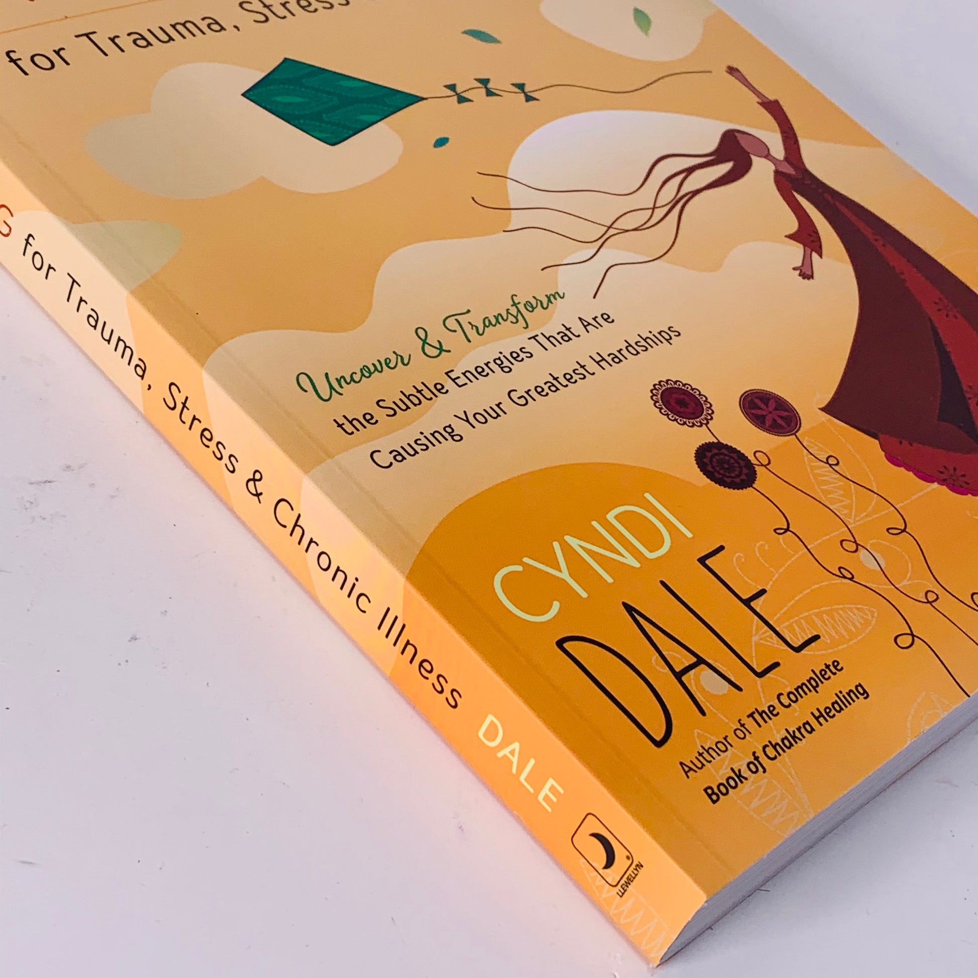 Energy Healing for Trauma, Stress & Chronic Illness by Cyndi Dale
