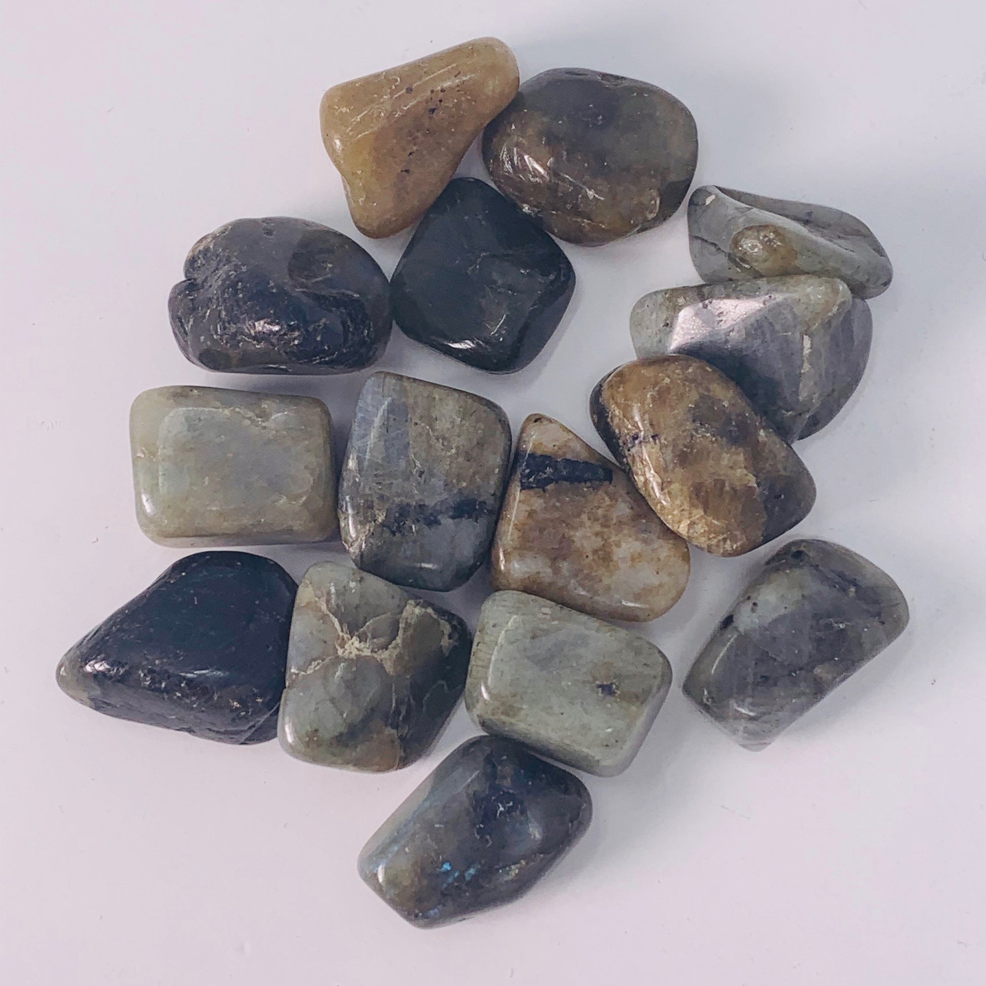 Labradorite - Tumbled