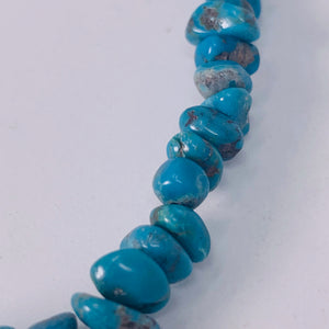 Turquoise Chip Necklace - 18"