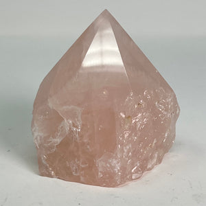 Rose Quartz Rough Base/Polished Point
