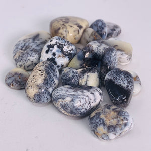 Dendritic Agate - Tumbled (2 sizes)