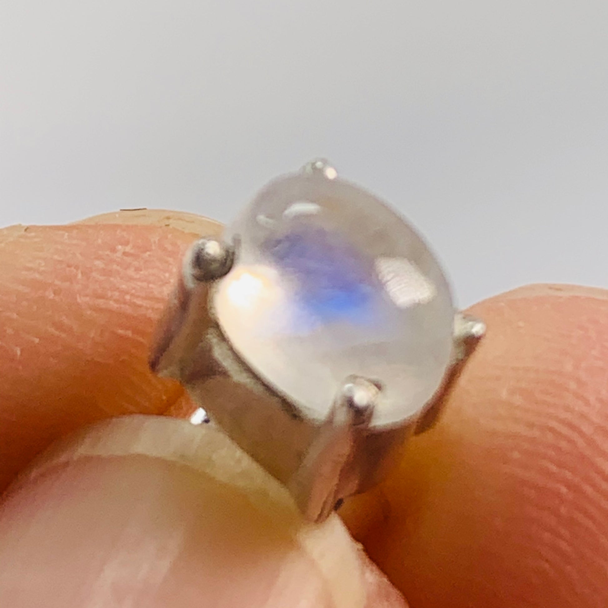 Earrings - Moonstone (oval)