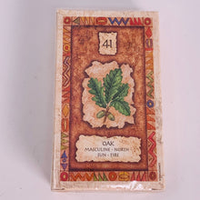 Load image into Gallery viewer, Shaman Wisdom Cards
